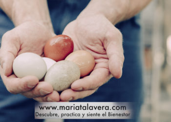 “0”, el número clave de los huevos ecológicos