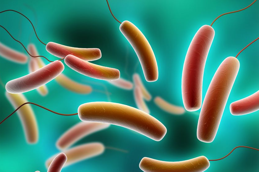 Dra. Irina Matveikova | El microbioma