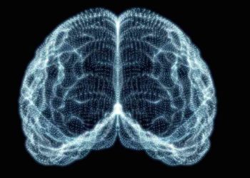 cerebro de un meditador