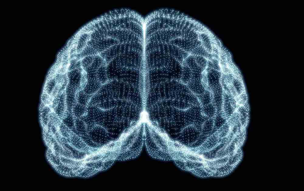 cerebro de un meditador