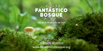 Fantástico Bosque